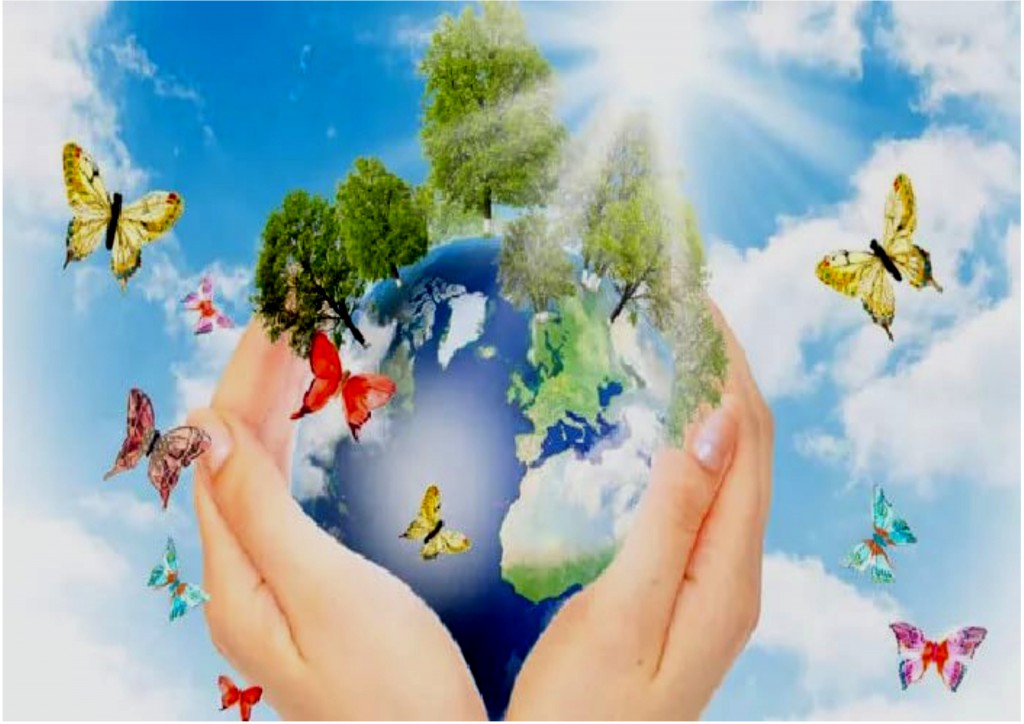 ��� �����.jpg